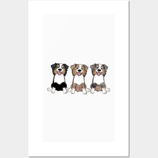 Australian Shepherd Dog T Shirt Posters and Art